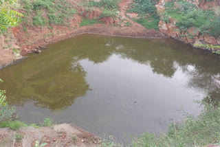 Haryana: Man works for 50 years to create pond on mountain for animals and birds