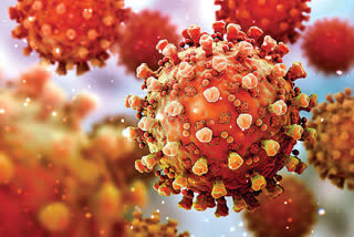 Coronavirus New Cases Today