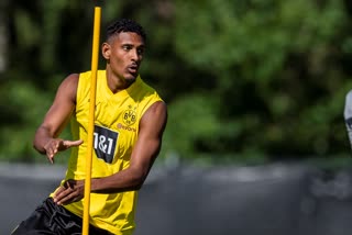 Borussia Dortmund striker Sebastian Haller out with testicular tumor  Borussia Dortmund  ഡോർട്ടുമുണ്ട് താരം സെബാസ്റ്റ്യൻ ഹാളർക്ക് ക്യാൻസർ  Sebastian Haller out with testicular tumour  Bundesliga  Dortmund signed Haller this month from Ajax  ബൊറൂസിയ ഡോര്‍ടുമുണ്ട്