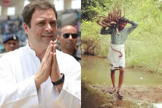 ongress leader Rahul Gandhi admired the newly elected Mayor of Chhindwara