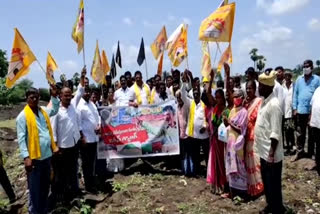 TDP PROTEST