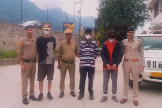 Brown sugar recovered from Tourist in Kullu