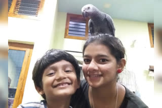 family-offers-rs-50000-reward-for-those-who-find-out-the-missing-parrot-in-tumakuru