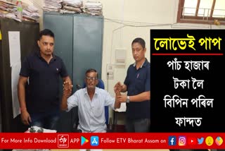 Govt employee arrested