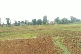 less rain in surguja increased farmers concern