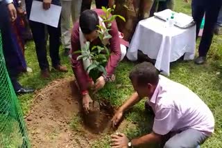 chief-ministers-institutional-plantation-programme-under-tourism-department-in-guwahati