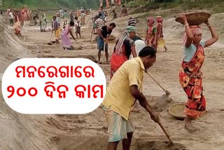 ଫୋକସ୍‌ରେ ଦାଦନ ମୁକ୍ତି: ୪ ଜିଲ୍ଲାରେ MNAREGAରେ ୨୦୦ କାର୍ଯ୍ୟଦିବସ