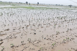 FLOODS CAUSED HUGE LOSSES