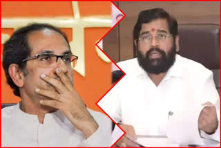 petitions of Uddhav Thackeray and Shinde