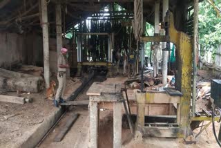 forest department raid on sawmills in balipatna