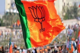 BJP captured 6 out of 9 municipal councils