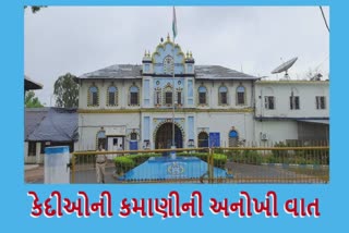 Vadodara Central Jail : જેલના સળિયા પાછળ કેદી સજા કાપવાની સાથે કેવા કામ કરે છે?