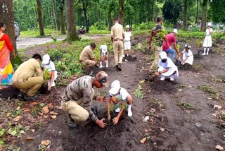 Siliguri Plantations