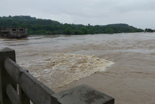 Chandrapur Flood News
