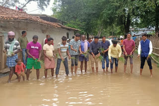 Paddy planted on roads in Lohardaga