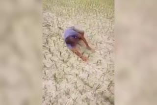 viral video of weeping farmer in patna
