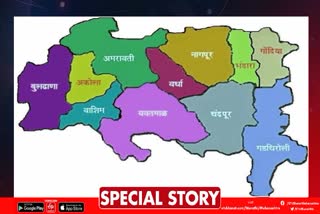 Vidarbha Seperation