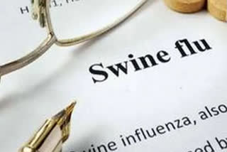 Lucknow bans sale of pork after swine flu cases among pigs