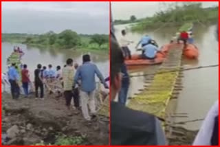 Langurs Rescue in Nagpur
