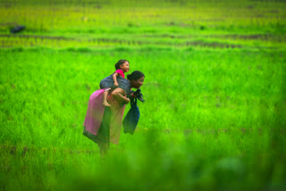 The colourful streets of India,street photography india,india green field india tourism,india travel pictures,India tourism,incredible India,India Meghalaya assam photos,north east India tourism,ಭಾರತೀಯ ರೈತರು,ಮಾನ್ಸೂನ್ ಮಾರುತಗಳು,ಹಚ್ಚ ಹಸಿರಿನ ಬೆಳೆಗಳು,ಭಾರತದ ಕೃಷಿ ವೈವಿಧ್ಯತೆ,ಭಾರತದ ಕೃಷಿ ವಿಧಾನ,ಹಸಿರು ತುಂಬಿದ ಭೂಮಿ