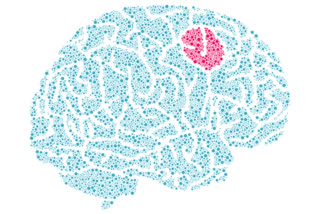 Impact of brain tumour on quality of life, how brain tumour affects health, what is brain tumour, Behavioural changes caused by brain tumours