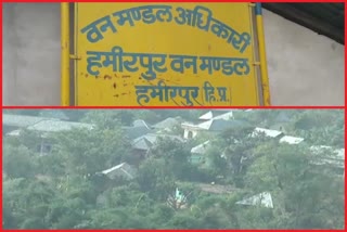 Catch the Rain Campaign In Hamirpur