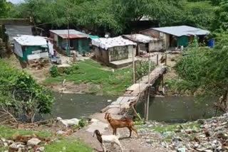 Half-a-century-old wooden bridge in Vadodara: A risk villagers take everyday