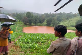 Two brothers in pond in Kawardha drowned