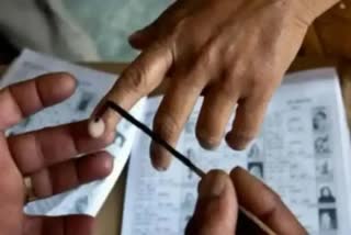 panchayat elections in haryana