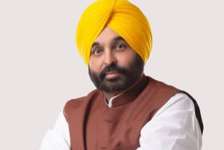 Bhagwant Mann writes letter demands Punjab representation in MSP committee