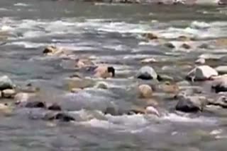 young man died after falling into the Parvati river