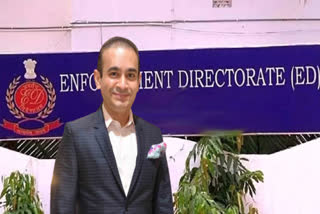 ED attaches moveable assets of Nirav Modi group in Hong Kong