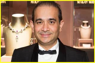 ED Seized Nirav Modi's assets worth Rs 253 cr in Hong Kong