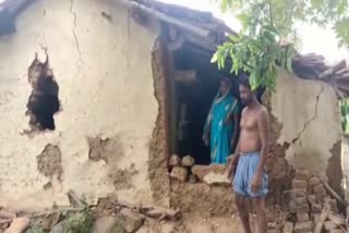 herd of elephants broke houses and destroyed field In Dhanbad