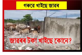 Allegation of corruption in the name of dumping ground in bokakhat