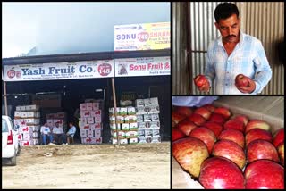 Apple season started in Himachal