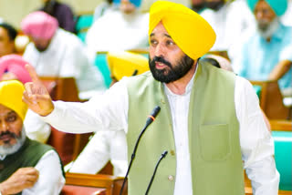 Punjab CM's Chandigarh residence fined Rs 10,000 for littering