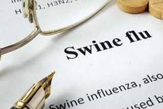 Maharashtra reports 142 swine flu cases till July, 7 die