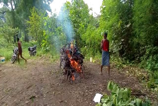 Surguja Forest