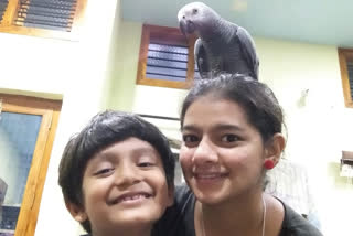 Karnataka: Missing parrot Rustuma found, owner gave a reward of 85 thousand