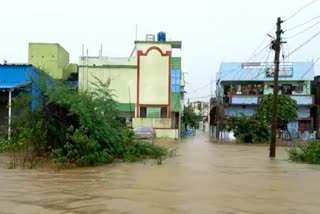 heavy rain in Chandrapur district