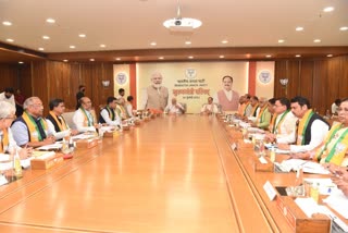 Chief Minister Council meeting