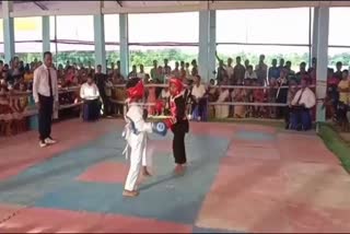 Kungfu and Kickboxing Championship