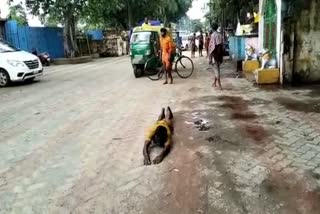 bolbom devotees from cuttack worship in puri lord lokanath