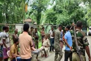 Mekliganj Stealing Trees