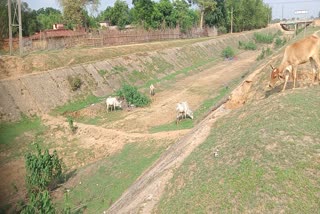 bad condition of Konar canal in Giridih