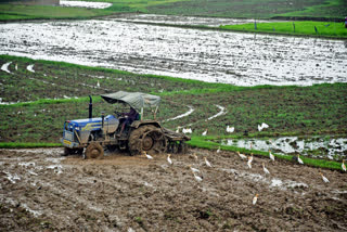 Chhattisgarh Weather Update news