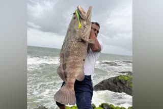 Two huge fishes have been caught in Malpe beach Udupi