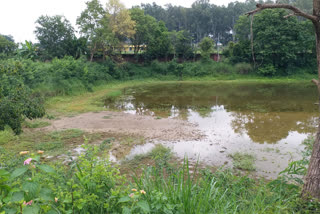 drought in jharkhand no water in ponds till now due to less rain in monsoon