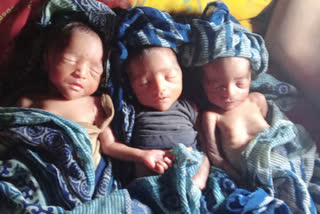 जमुई महिला ने तीन बच्ची को दिया जन्म